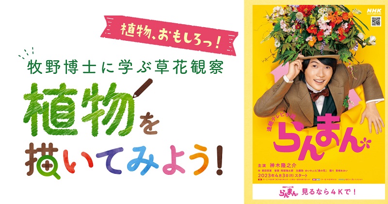 牧野富太郎に学ぶ 草花観察ワークショップ 8月26日（土）植物 おもしろっ！
