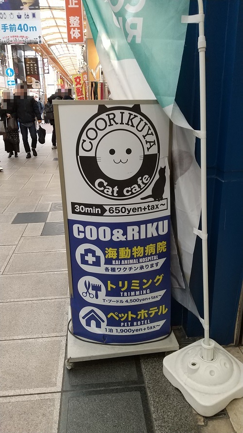 猫カフェ「猫喫茶 空陸家」COO&RIKU 心斎橋店に行ってきました。
