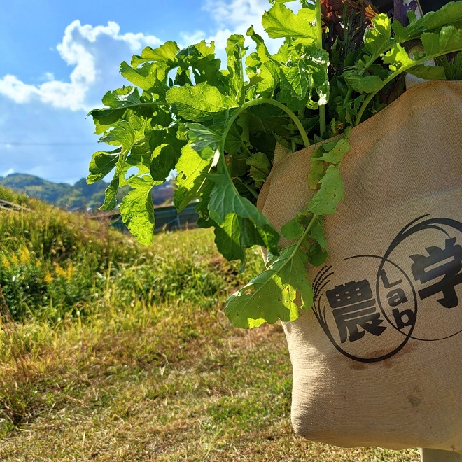 枚方T-SITE「農・食・学 ―豆を作るところから始める味噌づくり―」の参加者を募集
