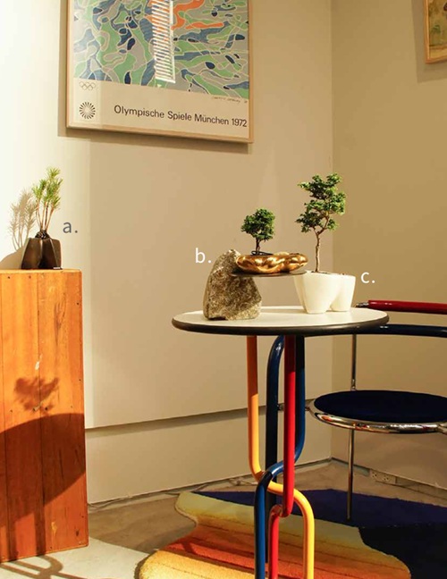 阪急うめだ本店、ミニ盆栽に癒されて「BONSAI LIFE～毎日に、ときめきを～」
