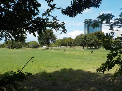 谷町四丁目界隈|東横堀川から難波宮跡公園まで内久宝寺町通りの風景【現地リポート】