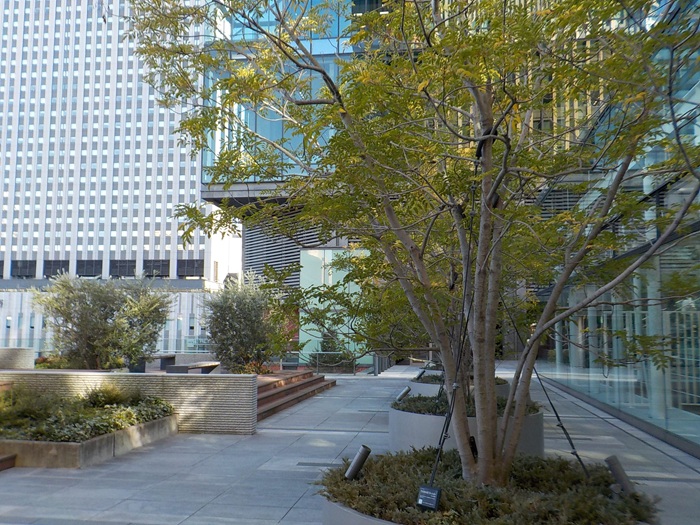 グランフロント大阪北館テラスガーデンに行ってみた