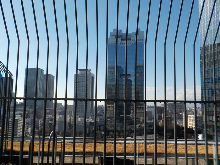 グランフロント大阪北館テラスガーデンに行ってみた