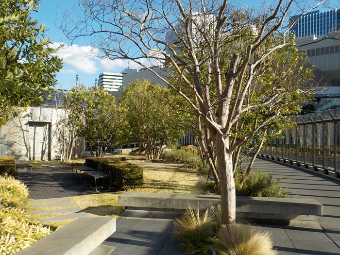 グランフロント大阪南館テラスガーデンに行ってみた｜土曜日のお昼に