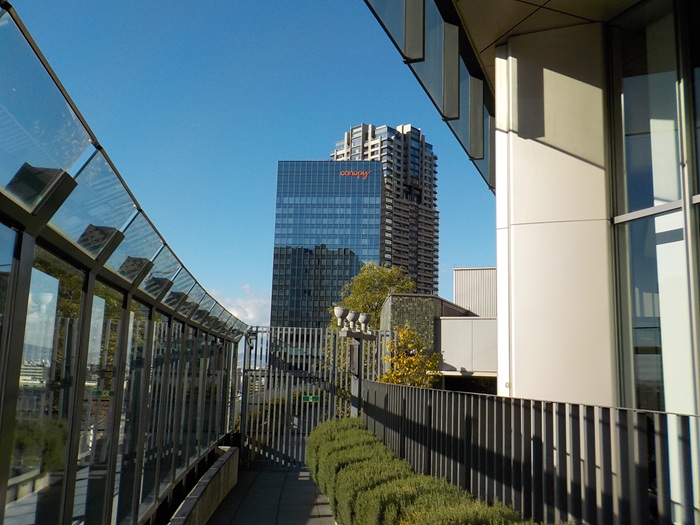 グランフロント大阪南館テラスガーデンに行ってみた｜土曜日のお昼に