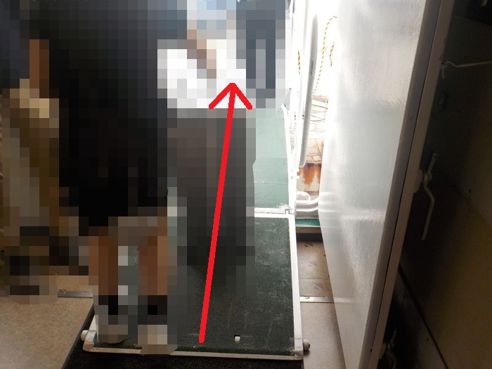 船で海遊館へ!片道900円・約10分の船旅|ユニバーサルシティ駅の改札から海遊館まで写真で案内